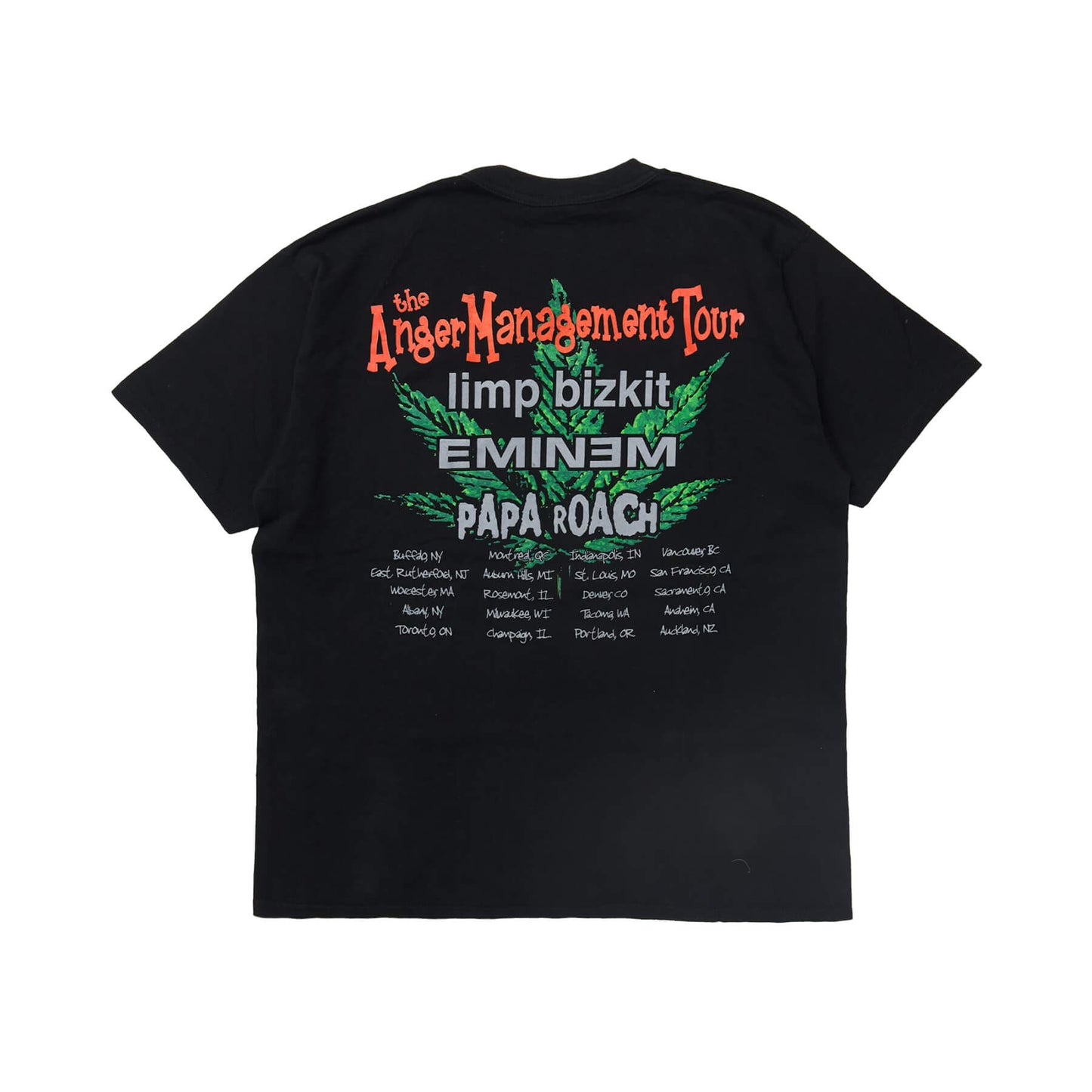 LIMP BIZKIT the Anger Managament Tour Tシャツ