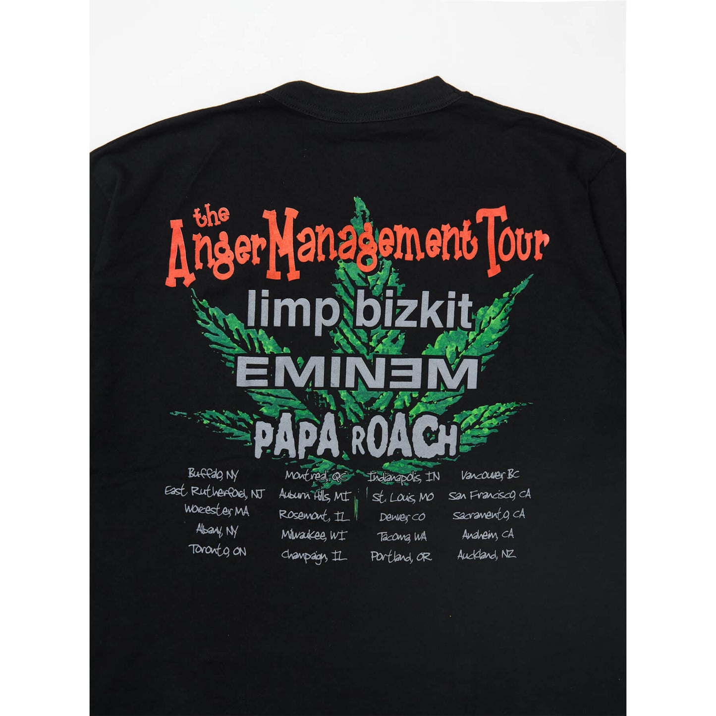 LIMP BIZKIT the Anger Managament Tour Tシャツ